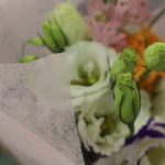 img_5719